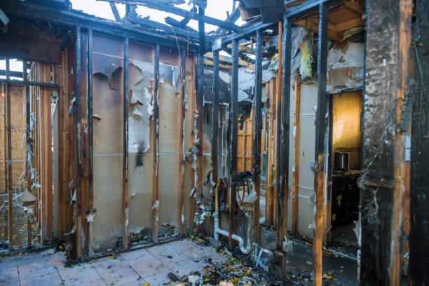 Professional Fire Damage Removal technician working in Concord, MO